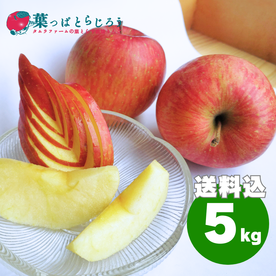 サンふじ 5kg | タムラファームショップ